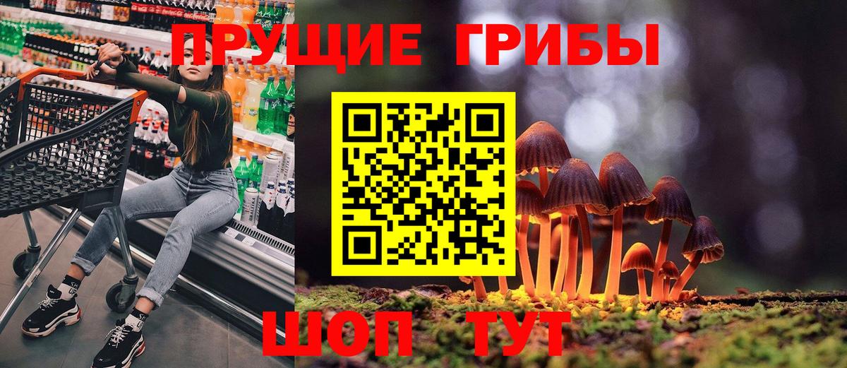 Псилоцибиновые грибы ЛСД  Вход с VPN  Химки  купить наркотик  Галлюциногенные грибы Magic Shrooms 